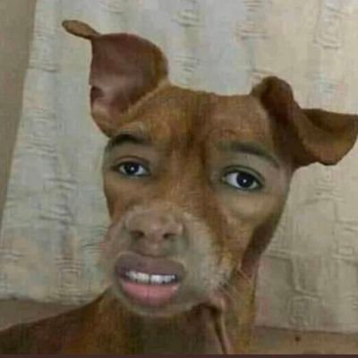 big_chungusss's profile picture. I hope you find what you're looking for