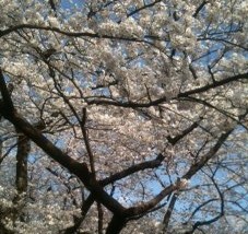 dad_beginner's profile picture. 3児育児、日々奮闘しながら父親として成長中。