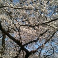 父親少年 (@dad_beginner) 's Twitter Profile