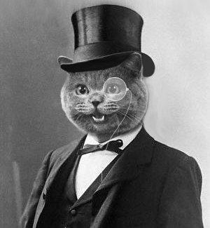 Software engineer, cat lover, married. Music producer and gamer sometimes.