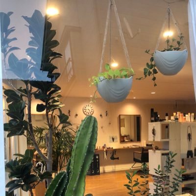ヘアーサロン ココペリ 新潟 古町 Gx1j6vc Twitter ヘアーサロン ココペリ 新潟 古町 Gx1j6vc Twitter