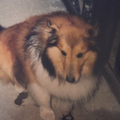 satolatayanenn's profile picture. 