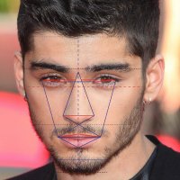 AlexisBear3 (@alexisbear3) 's Twitter Profile