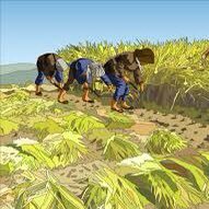 ikatwst's profile picture. twst/