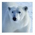 Sergey (@vedmedev) Twitter profile photo Sergey (@vedmedev) Twitter profile photo