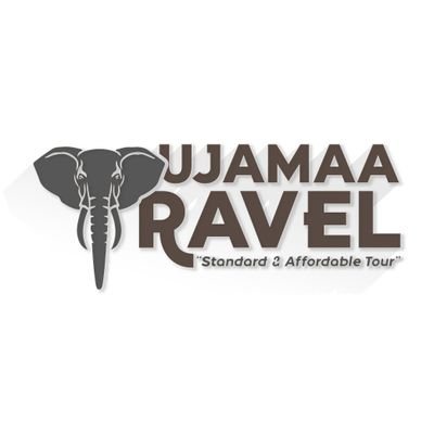 Provide advice for travelers around Tanzania
Organize safari around Tanzania and https://t.co/Ydlq2gJj6d
Conducting tourism activities around Tanzania
Tour Guiding