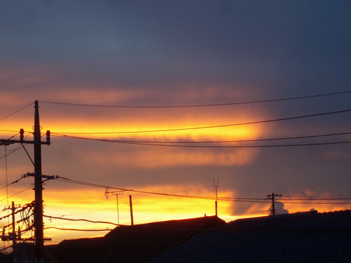 rooftop0604's profile picture. ころころ気まぐれに転がって生きていこうと思っとります。