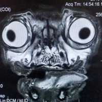 David_Davy_Dave (@david_davy_dave) 's Twitter Profile