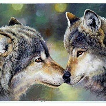 GreyWolves8's profile picture. bucin sejati