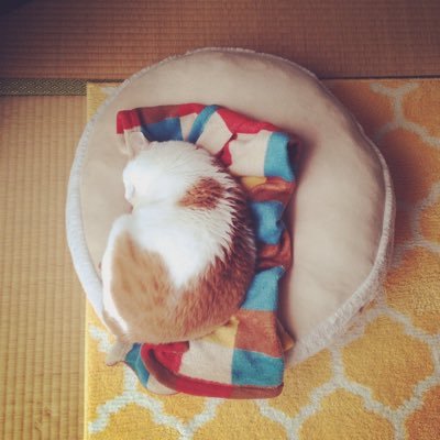 ひがしやまあゆみさんのプロフィール画像