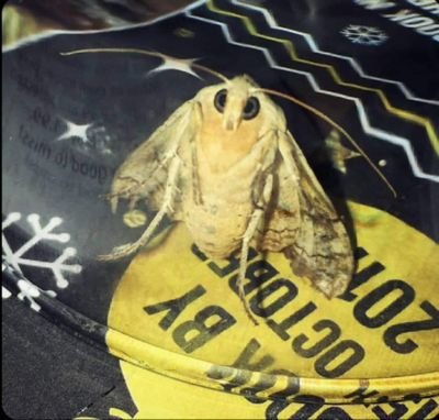 Err0r_eXp's profile picture. haha