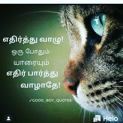 lives in koottapuli in Kanyakumari 😎
foodist😘🦐🍤🍱🥗
Sports lover🏅⚽️🏏
desire +thinks🕵️‍
Ambition to #IPS
Birth year 2001
#respect to Respect 🤞🤞