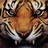 Tiger Blood