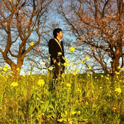 t_itotter's profile picture. 