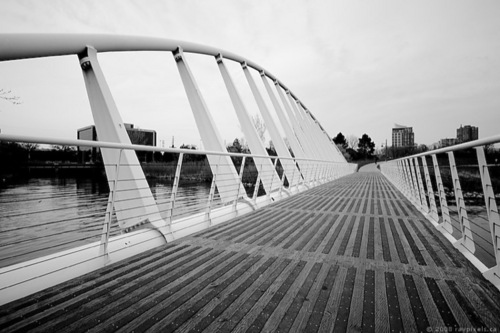 LFNAnniversary's profile picture. 