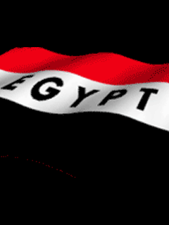 abdelmagedm's profile picture. 