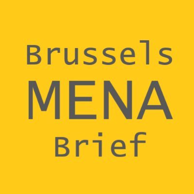 Curated news and analysis on #MidEast & #NorthAfrica and #MENA policy. Independent and balanced.