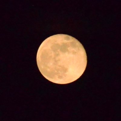 -takad-さんのプロフィール画像