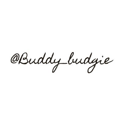 Buddy_budgie