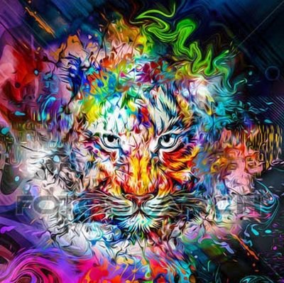 NoktaYanar's profile picture. Dalgacı şahit