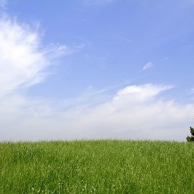 中学校教員です。好き勝手つぶやきながら自分の考えを整理します。①教育のこと②政治のこと ③好きなもの 歴史 旅行 3年A組