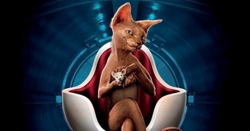 Pulgoso07's profile picture. 