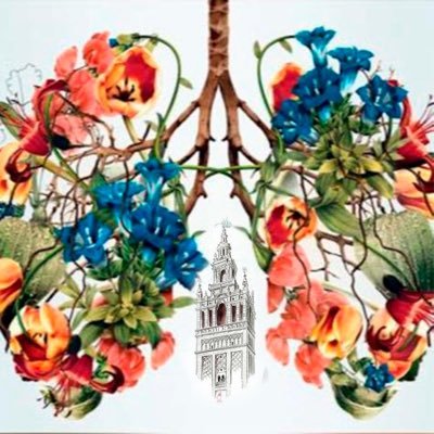 voluntarioscov1's profile picture. Cuenta oficial Voluntarios ayuda Covid-19 en Sevilla. Si necesitas ayuda pídela/Si puedes ayudar ofrécete. 📩voluntarioscovidsevilla@gmail.com ☎️620 39 98 34