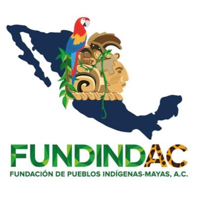 | Nuestros 🙋🏽‍♀️🙋🏽‍♂️| Ambiente 🌳 🌊| Animales 🐯 🦥| 🧩somosfundindac | Mex🌵Can | 💚🇲🇽💚| HELP! ➡️ https://t.co/If8ZTZ7uSx