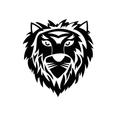 Jotabe15539820's profile picture. 💚