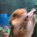 Funny/Scary/Wow Vid-MIX! (@funny_scary_wow) Twitter profile photo Funny/Scary/Wow Vid-MIX! (@funny_scary_wow) Twitter profile photo