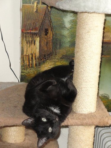 jocelyne3's profile picture. Gorl world lurker, fatty at heart, where's the poutine?