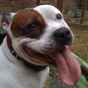 Tim Witmer - @piercertim - Twitter