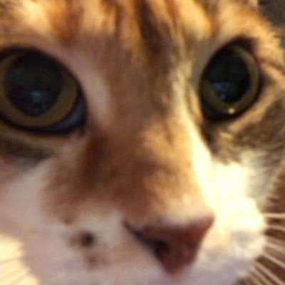 moi88569586's profile picture. les vidéos que je met sur ce compte, il faut que vous les re tweet c’est important!