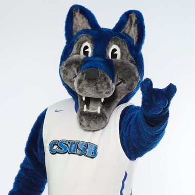 The Official Mascot for California State University, San Bernardino |
Leading the PACK to victory!

Instagram: @CodyTheCoyote65
#10TeamsONEPACK