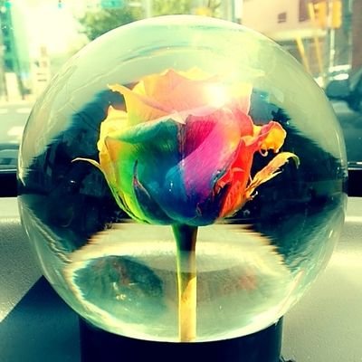 osanti23's profile picture. #mommyhood is life
♋ 🇵🇷🌈