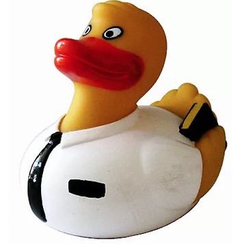 exmormonduck's profile picture. bath time is so much more fun now that I’m ex mormon | he/him | bi