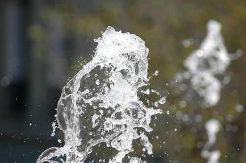 birankai's profile picture. Birankai Suisse is an Aikido association in Switzerland.