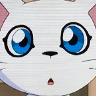 ねこまさんのプロフィール画像
