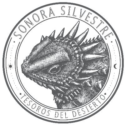 Experiencias silvestres del desierto para tu piel