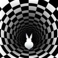 Curious Rabbit (@curiousrabbit66) 's Twitter Profile