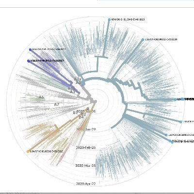 We are a group of researchers at OHSU in #PDX, #Oregon racing to sequence SARS-CoV-2 genomes. If you have positive samples contact us. Tweets our own.