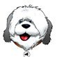 CWZ (@centralwz) 's Twitter Profile Photo CWZ (@centralwz) 's Twitter Profile Photo