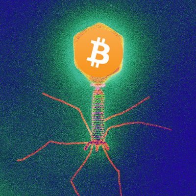 Follow the pandemic @HODLvirus
This handle is kept alive for dank Bitcoin memes and shitting on shitcoins.