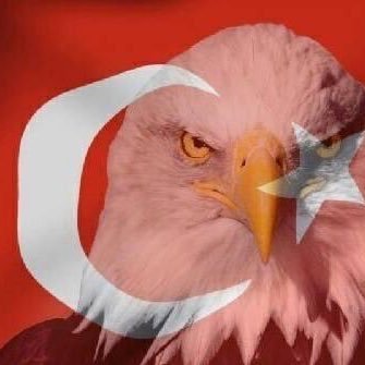 42ronin42's profile picture. 