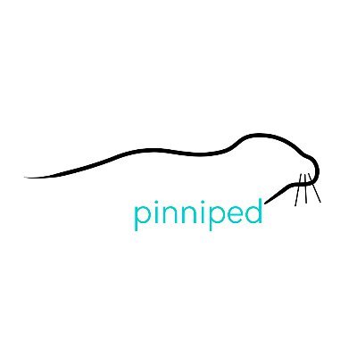 Pinniped