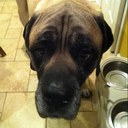 Chris Rilling - @crill72 - Twitter