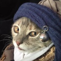 pisi pisi 🐾 (@happycaturdays) 's Twitter Profile Photo pisi pisi 🐾 (@happycaturdays) 's Twitter Profile Photo