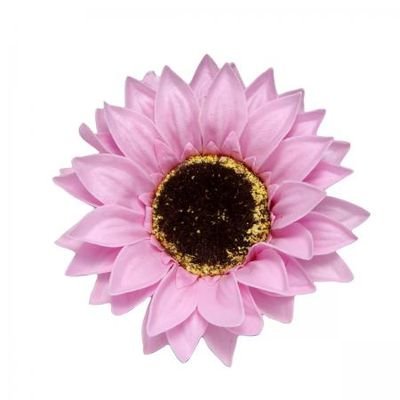Pink Himawari Pinkhimawari2 Twitter