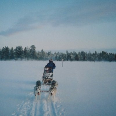 heatherrawles's profile picture. SOAS graduate Arabic and Hebrew, Primary Teacher in Scotland, former nurse A&E and overseas development. NHS, languages, books and education ❤