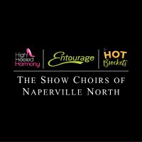 Naperville North High School Show Choirs (@nnhs_showchoirs) 's Twitter Profile